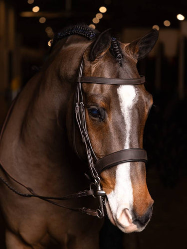 LeMieux Flat Hunter Bridle with Laced Reins Havana/Silver