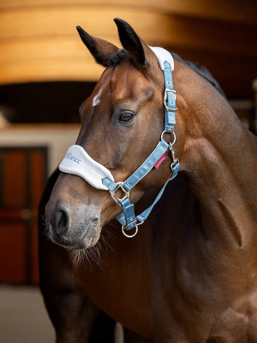 LeMieux Vogue Headcollar & Leadrope Ice Blue