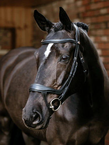 LeMieux Arika Split Noseband Bridle Black