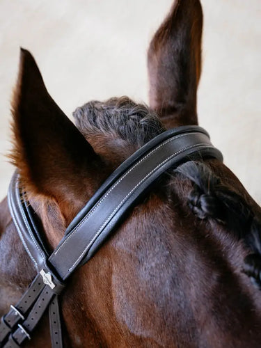 LeMieux Arika Split Noseband Bridle Brown