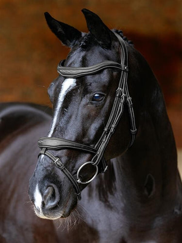 LeMieux Kudos Contour Flash Bridle Black