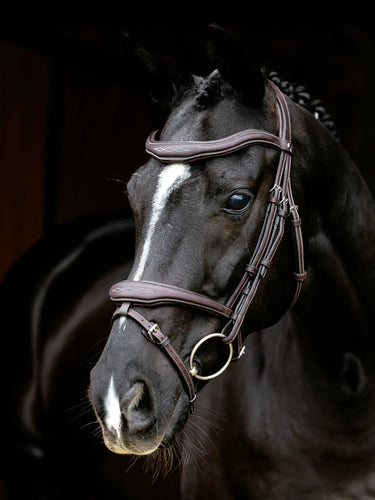 LeMieux Kudos Contour Flash Bridle Brown