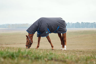 Weatherbeeta Comfitec Tyro Turnout Combo Neck 220G Navy/ Charcoal