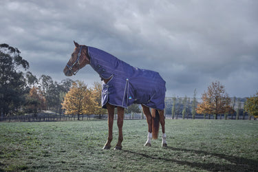 Weatherbeeta Comfitec Prelim Turnout Combo 220G Navy Embossed Plaid