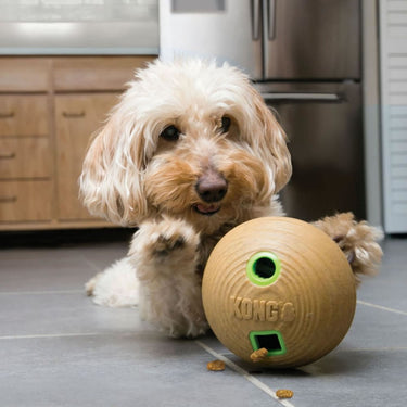 Kong Bamboo Feeder Ball Toy-Medium