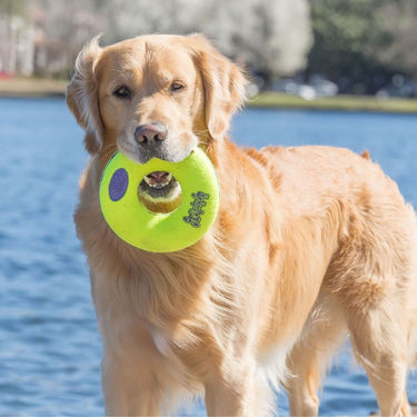 Buy Kong Airdog Squeaker Donut Toy | Online for Equine