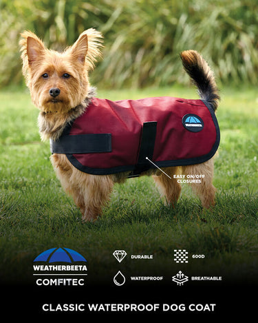 Buy Weatherbeeta Comfitec Classic Waterproof Dog Coat Navy | Online for Equine