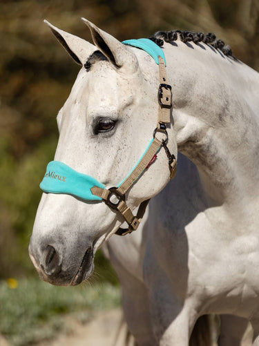Buy LeMieux Vogue Fleece Headcollar & Leadrope Set-Azure-Extra Full| Online for Equine