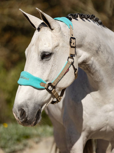 Le Mieux Vogue Fleece Headcollar & Leadrope Set-Azure-Extra Full