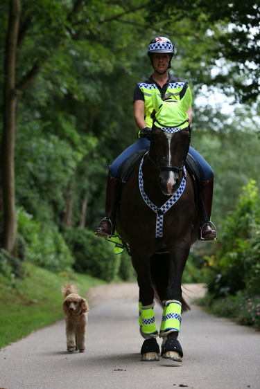 Buy Equisafety Polite Reflective Leg Boots| Online for Equine