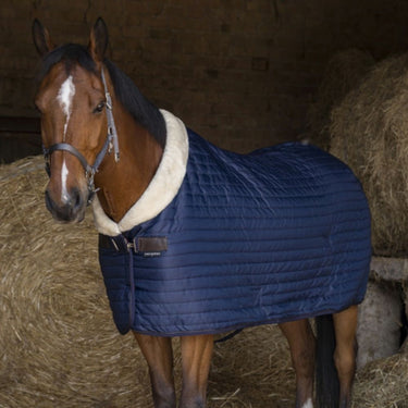 Buy Equi-Theme Teddy Fully Lined Luxury Stable Rug | Online for Equine