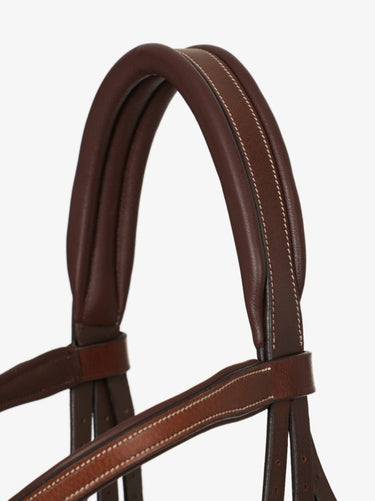 Buy Digby & Fox Bandana | Online for Equine