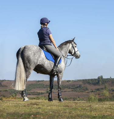 Buy LeMieux Luxury Suede Benetton Blue GP Square| Online for Equine
