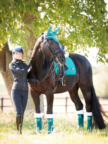 Buy LeMieux Peacock Loire Classic Dressage Square| Online for Equine