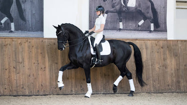 Buy LeMieux White Loire Memory Dressage Square| Online for Equine