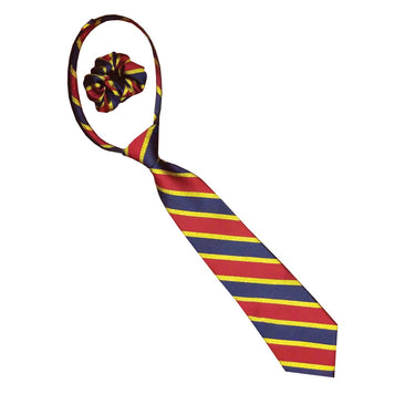 Buy Equetech Lux stripe Zip Show Tie| Online for Equine