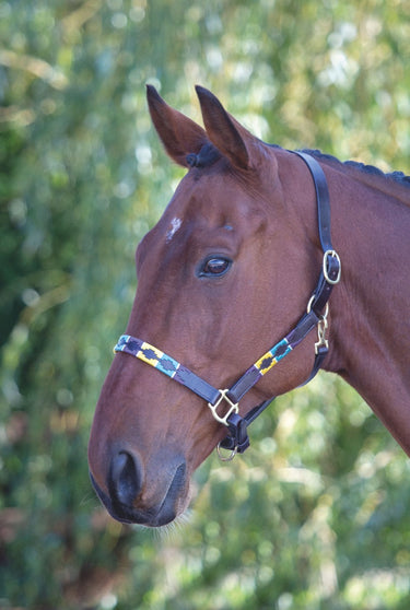 Shires Blenheim Leather Polo Headcollar