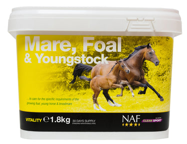 NAF Mare, Foal & Youngstock