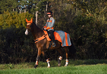 Buy Equisafety Reflective Mercury Horse Hi viz Exercise Rug| Online for Equine