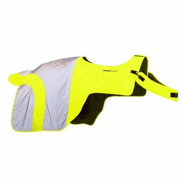 Buy Equisafety Reflective Mercury Horse Hi viz Exercise Rug| Online for Equine