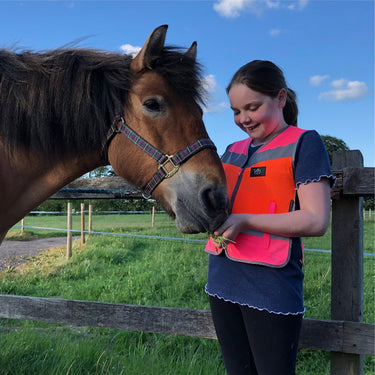 Buy Equisafety Multi Colour Childs Hi Vis Waistcoat | Online for Equine