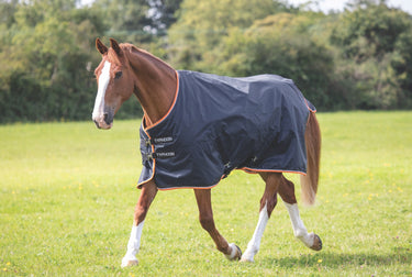 Shires Typhoon 200g Turnout Rug