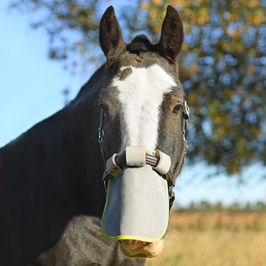 Equilibrium Field Relief Muzzle Protector