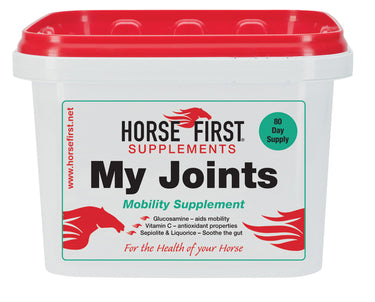 Horse First My Joints