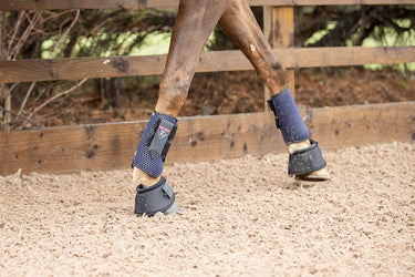 Buy Equilibrium Tri-Zone Navy All Sports Boots | Online for Equine