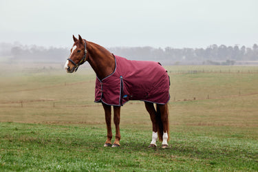Weatherbeeta Comfitec Prelim Turnout 0G