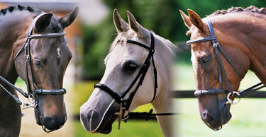 Buy Equilibrium Net Relief Muzzle Net (2 Pack) | Online for Equine