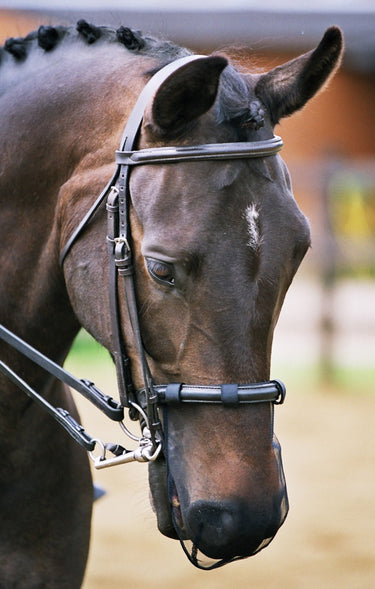 Buy Equilibrium Net Relief Muzzle Net (2 Pack) | Online for Equine