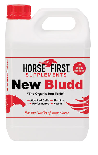 Buy Horse First New Bludd| Online for Equine