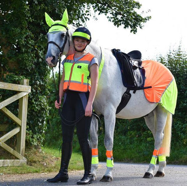 Buy Equisafety Hi Vis Multi Coloured Summer Horse Sheet| Online for Equine