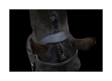 Buy the EcoRider Show Comfort Anatomical Bridle | Online for Equine