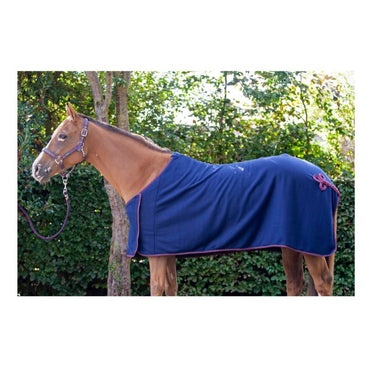 Buy Cameo Equine Core Collection Show Rug| Online for Equine