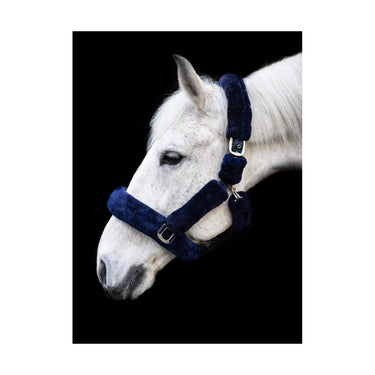 Buy Cameo Equine Deluxe Headcollar| Online for Equine
