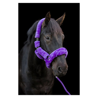 Buy Cameo Equine Deluxe Headcollar| Online for Equine