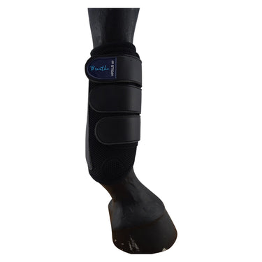 Buy Apollo Air Breathe Front Boots|Online for Equine