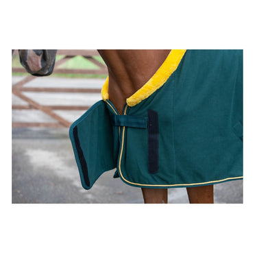 Buy Cameo Equine Performance Elite Show Rug | Online for Equine