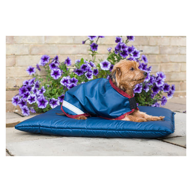 Buy Cameo Equine Storm Waterproof Dog Bed | Online for Equine