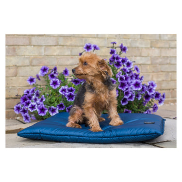 Buy Cameo Equine Storm Waterproof Dog Bed | Online for Equine