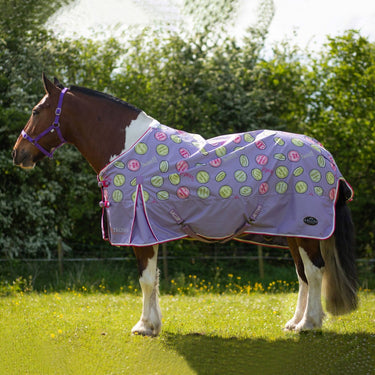 Buy Gallop Sweet Treats Lightweight Standard Neck Turnout Rug| Online for Equine