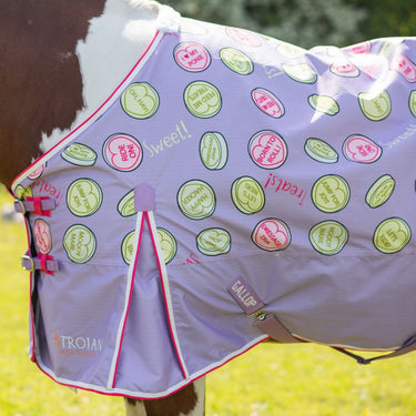 Buy Gallop Sweet Treats Lightweight Standard Neck Turnout Rug| Online for Equine