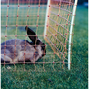 Buy Patura Rabbit Netting-One Size| Online for Equine