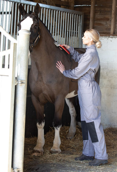 Buy the Equetech Pro-Clip Coveralls |Online For Equine 