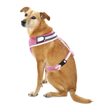 Buy Equisafety LED Flashing Hi Vis Reflective Dog Harness| Online for Equine