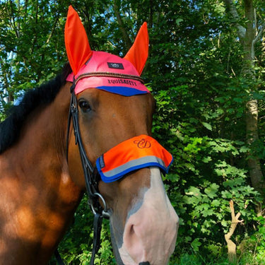 Equisafety Hi Vis Multi Coloured Nose band