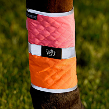Buy Equisafety Hi Vis Multi Coloured Leg Boots| Online for Equine