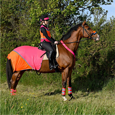 Buy Equisafety Hi Vis Multi Coloured Summer Horse Sheet| Online for Equine